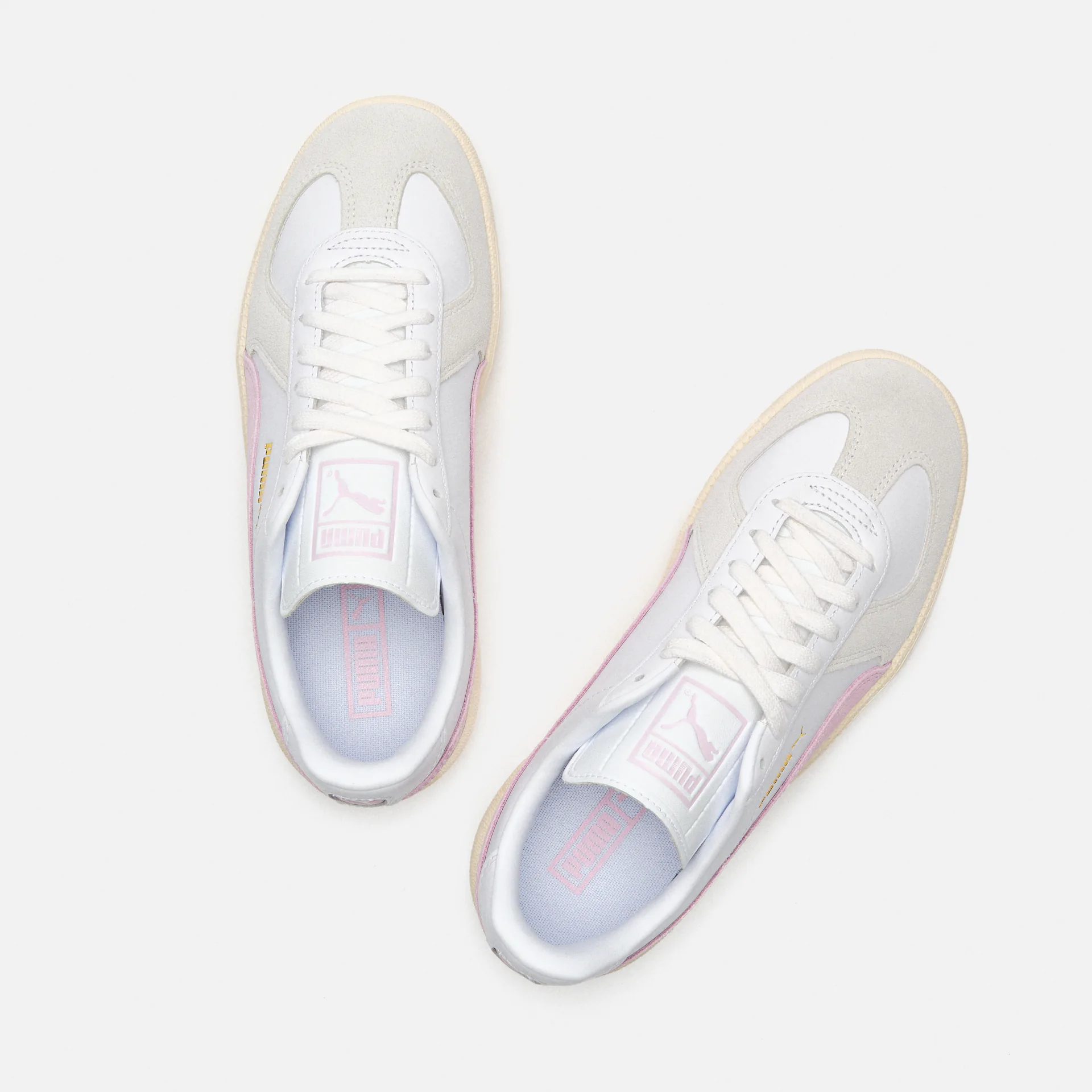 PUMA Army Trainer Sneaker White/Feather Grey